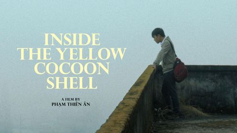 Inside the Yellow Cocoon Shell cover image cdn