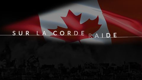 High Wire cover image cdn