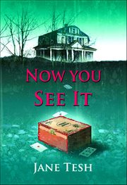 Now You See It : Grace Street Mystery cover image cdn