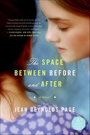 The Space Between Before and After : A Novel cover image cdn