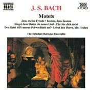 Bach : Motets, Bwv 225-230 cover image cdn