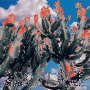 Cloud Sight Fade cover image cdn