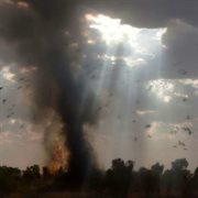 Cozy World cover image cdn