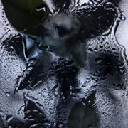 Elusive Framework cover image cdn