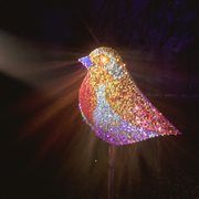 February cover image cdn