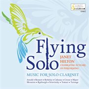 Flying Solo cover image cdn