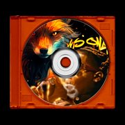 Foxes Only (Sped Up & Slowed) cover image cdn