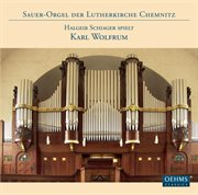 Halgeir Schiager Spielt Karl Wolfrum cover image cdn