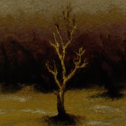 idek cover image cdn