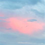 Music Diary, Vol. 5 cover image cdn