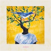 Nachtigall cover image cdn