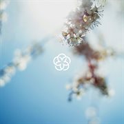 New World cover image cdn