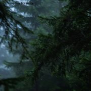 nocturne in e flat major cover image cdn