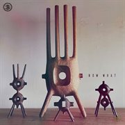 Now What cover image cdn