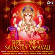 Shree Ganpati Sahashtra Namavali cover image cdn