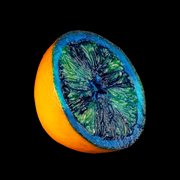 Tout change cover image cdn