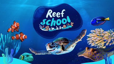 Reef School cover image cdn