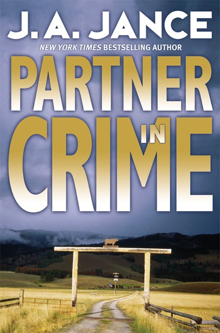Partner in Crime cover image cdn