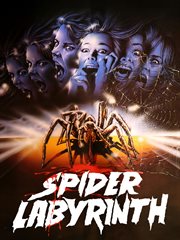Spider labyrinth cover image cdn