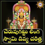 Cheruvugattu Linga Swamy Divya Charitra cover image cdn