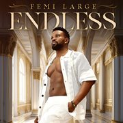 Endless cover image cdn