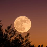 Moonrise Meditation, Calm Ambient Music cover image cdn