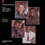 One Night in Houston cover image cdn