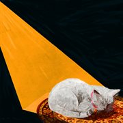 Permanent pleasure cover image cdn