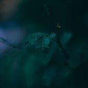 Pure Meditation Calmness cover image cdn