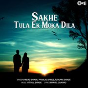 Sakhe Tula Ek Moka Dila cover image cdn