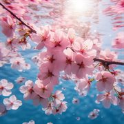 Sakura Sakuna cover image cdn