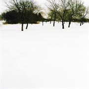 Starbird / Ahch-To cover image cdn