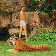 Ung & Dum cover image cdn