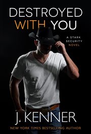 Destroyed With You : Stark Security cover image cdn
