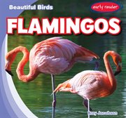 Flamingos : Beautiful Birds cover image cdn
