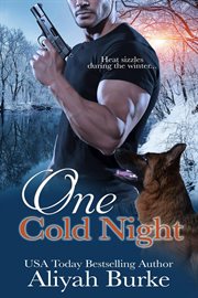 One Cold Night : Prince Brothers cover image cdn