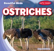 Ostriches : Beautiful Birds cover image cdn