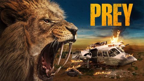 Prey cover image cdn