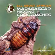 All About African Madagascar Hissing Cockroaches cover image cdn