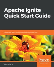 Apache Ignite Quick Start Guide cover image cdn