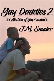 Gay Daddies 2 Box Set cover image cdn