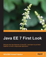 Java EE 7 First Look cover image cdn
