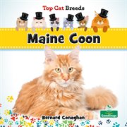 Maine Coon cover image cdn