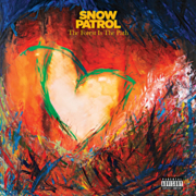 The forest is the path cover image cdn