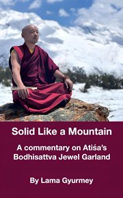 Solid Like a Mountain cover image cdn