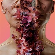 Dust Fragments cover image cdn