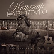 Homenaje A Grupo Laberinto cover image cdn