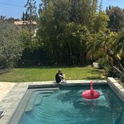 How I'm feeling now... cover image cdn