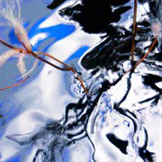 Jammin cover image cdn