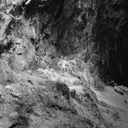 Paradise cover image cdn